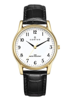Pánské hodinky Certus 611240